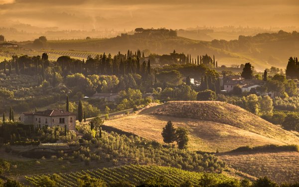 Quels sont les meilleurs endroits pour louer une maison de vacances en Toscane avec des cours de peinture et des visites de vignobles?